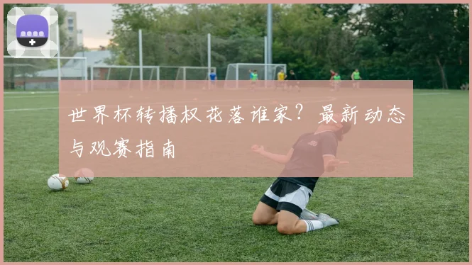 世界杯转播权花落谁家?最新动态与观赛指南