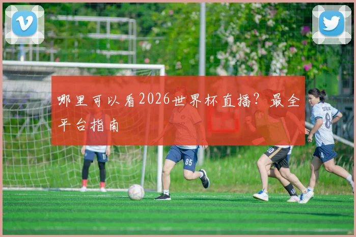 哪里可以看2026世界杯直播?最全平台指南