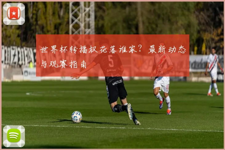 世界杯转播权花落谁家?最新动态与观赛指南